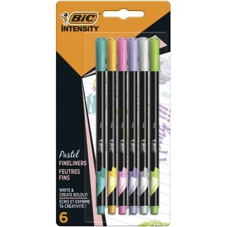 6 COLORES INTENSIDAD BIC BIC